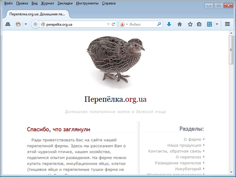 Сайт перепелиной фермы Перепёлка.org.ua